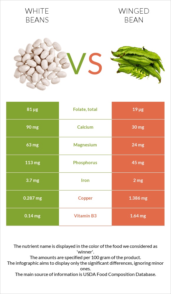 White beans vs Winged bean infographic