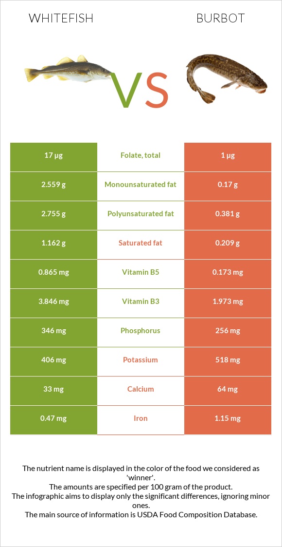 Whitefish vs Burbot infographic