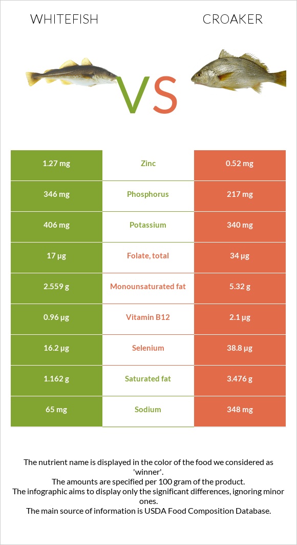 Whitefish vs Croaker infographic