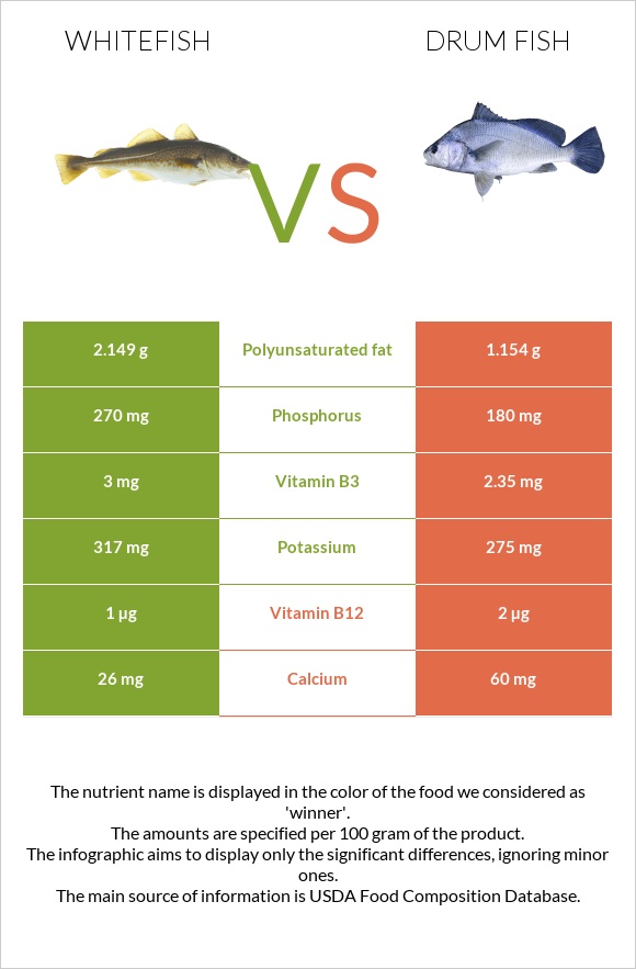 Whitefish vs Drum fish infographic