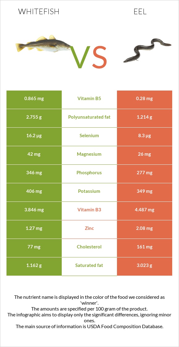 Whitefish vs Eel infographic