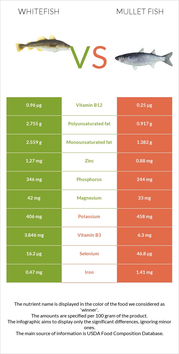 Whitefish vs Mullet fish infographic