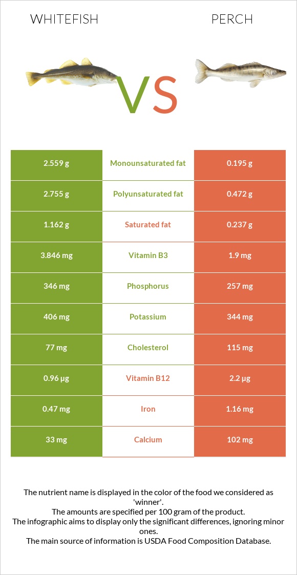 Whitefish vs Perch infographic