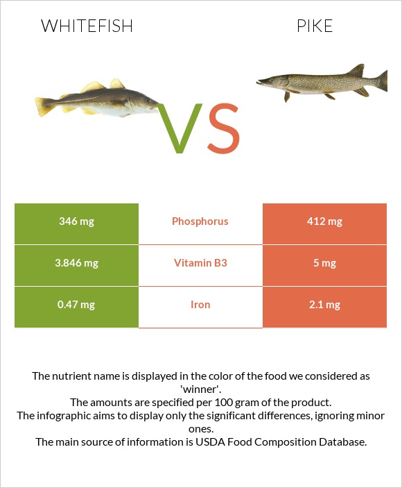 Whitefish vs Pike infographic