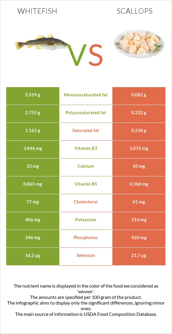 Whitefish vs Scallops infographic