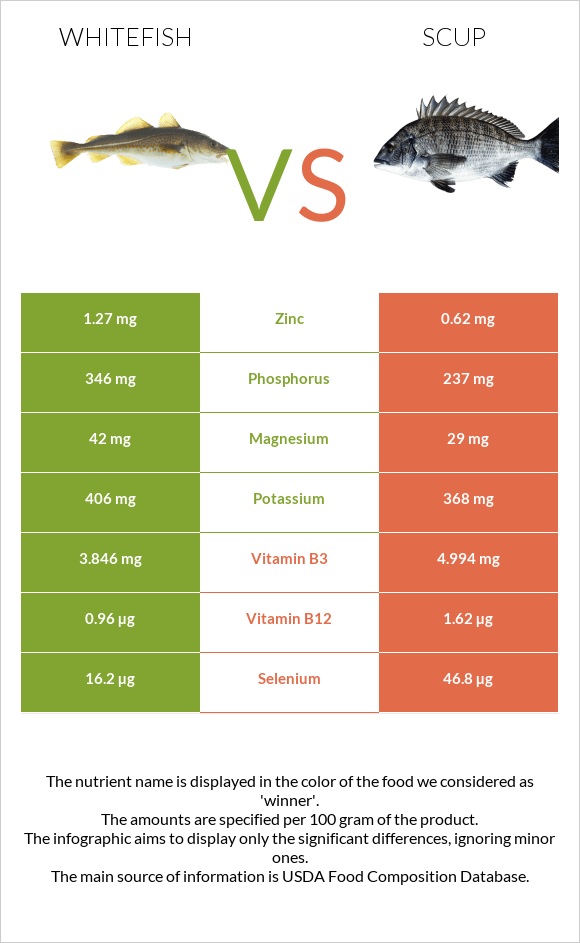 Whitefish vs Scup infographic