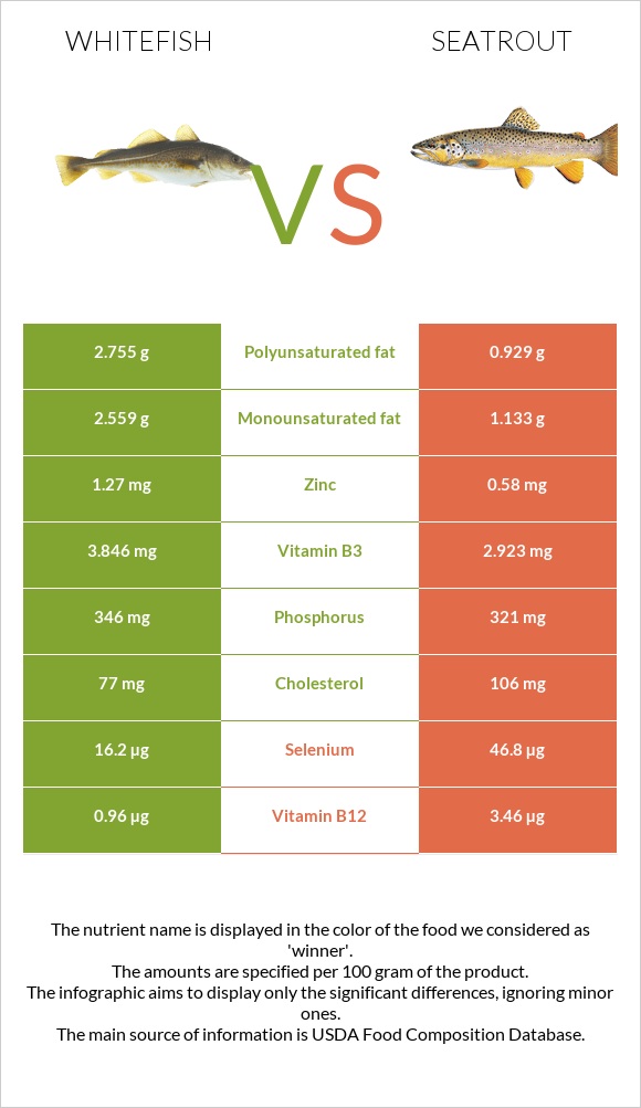 Whitefish vs Seatrout infographic