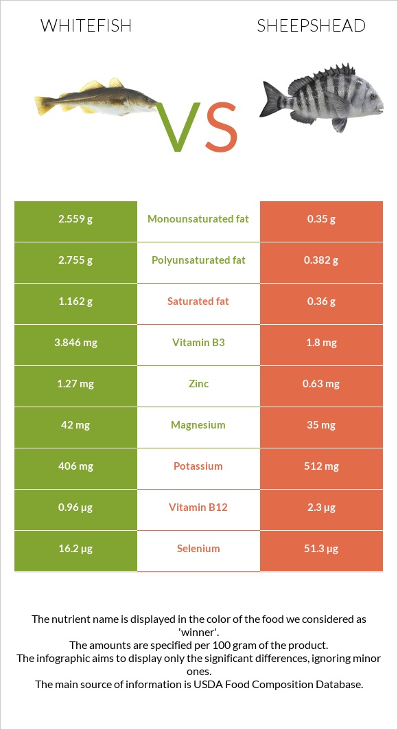 Whitefish vs Sheepshead infographic