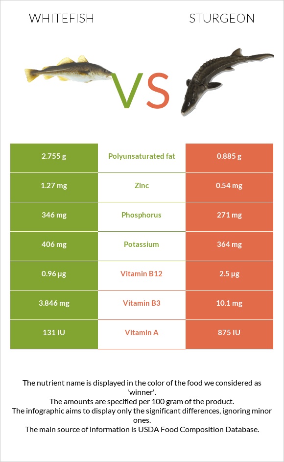 Whitefish vs Sturgeon infographic