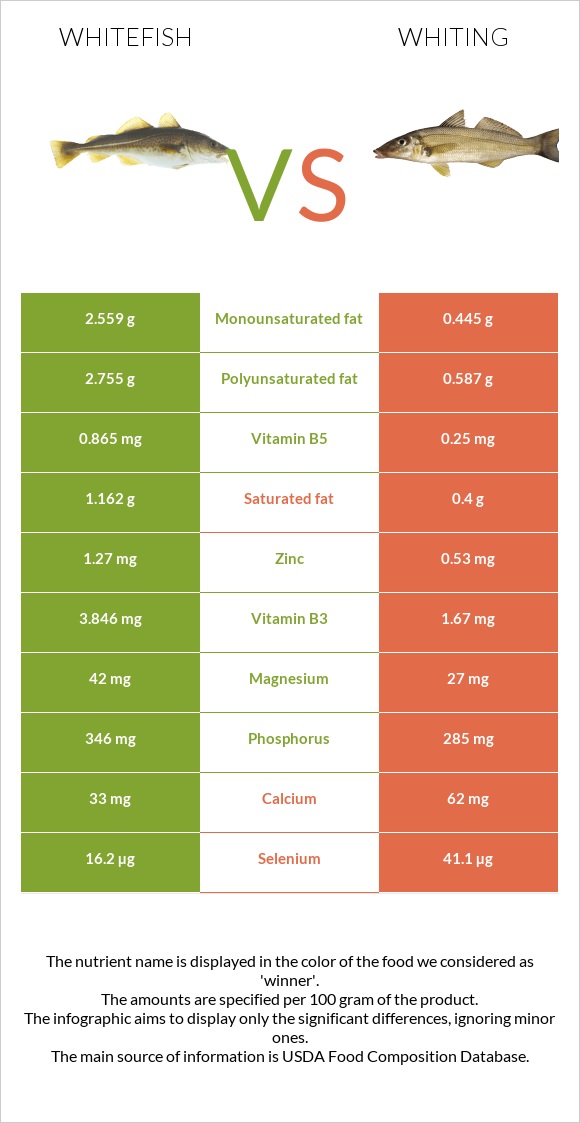 Whitefish vs Whiting infographic