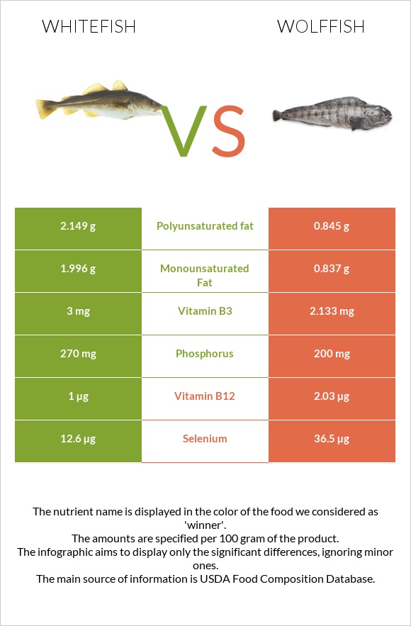 Whitefish vs Wolffish infographic