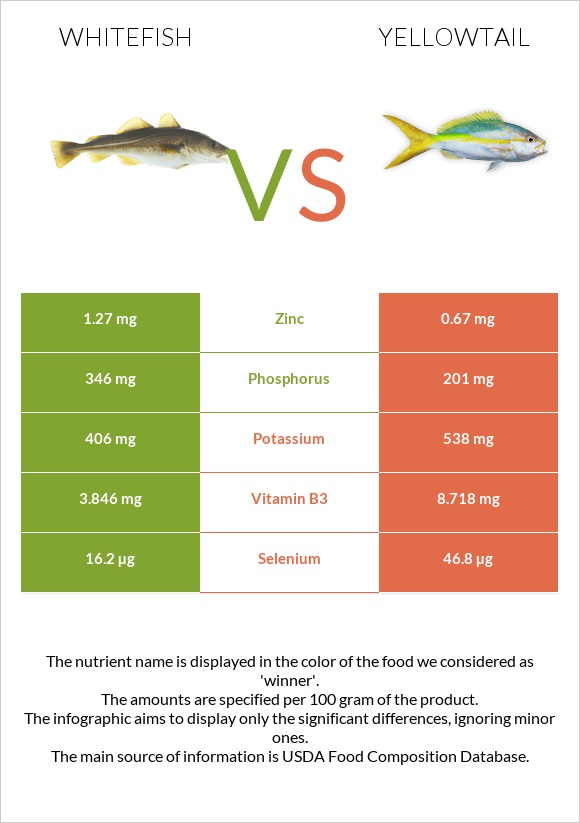 Whitefish vs Yellowtail infographic