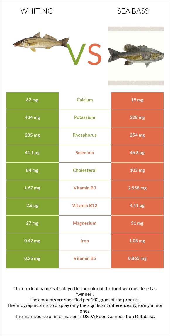 Whiting vs Bass infographic