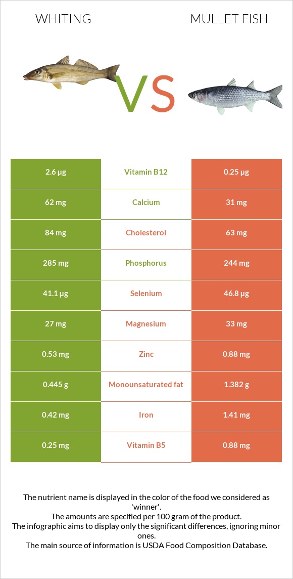 Whiting vs Mullet fish infographic