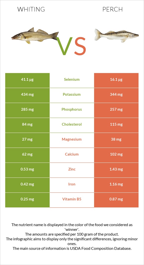 Whiting vs Perch infographic