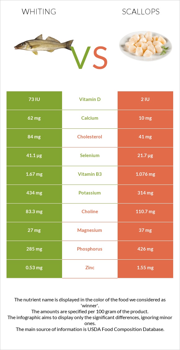 Whiting vs Scallop infographic