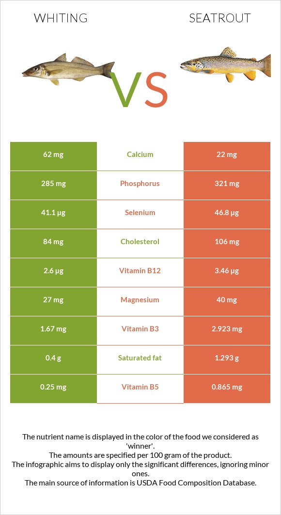 Whiting vs Seatrout infographic