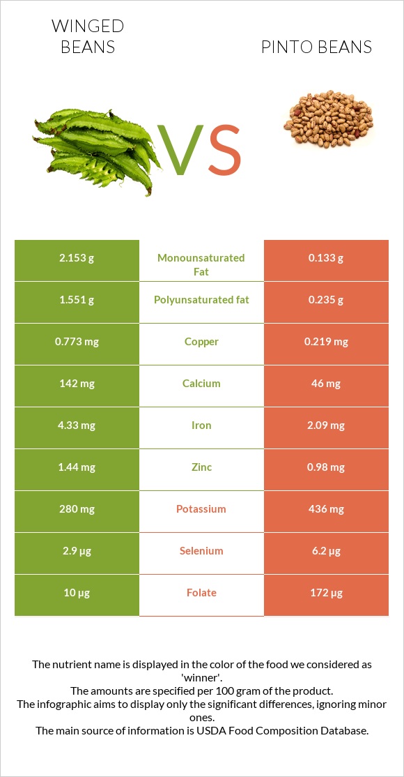 Winged beans vs Pinto beans infographic
