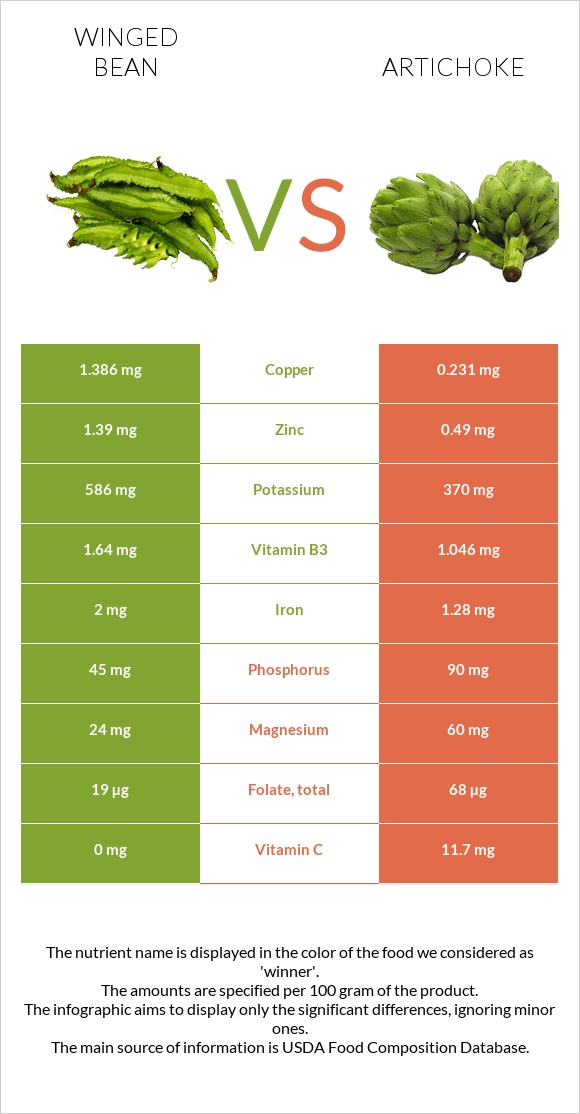 Winged bean vs Artichoke infographic