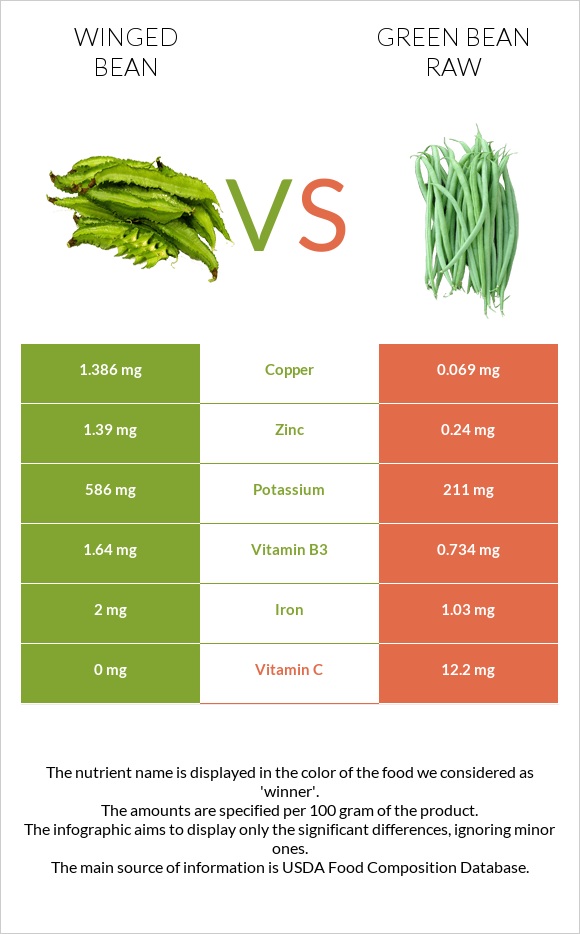 Winged bean vs Green bean raw infographic