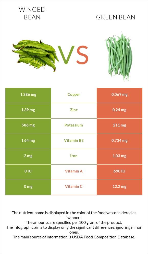Winged bean vs Green bean infographic