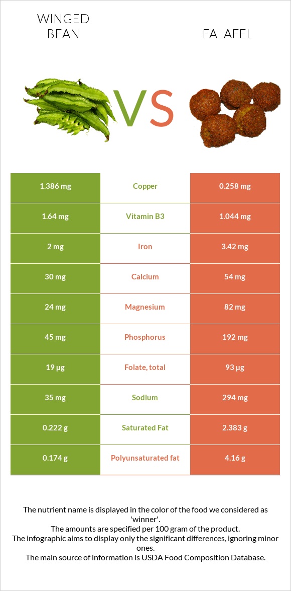 Winged bean vs Falafel infographic