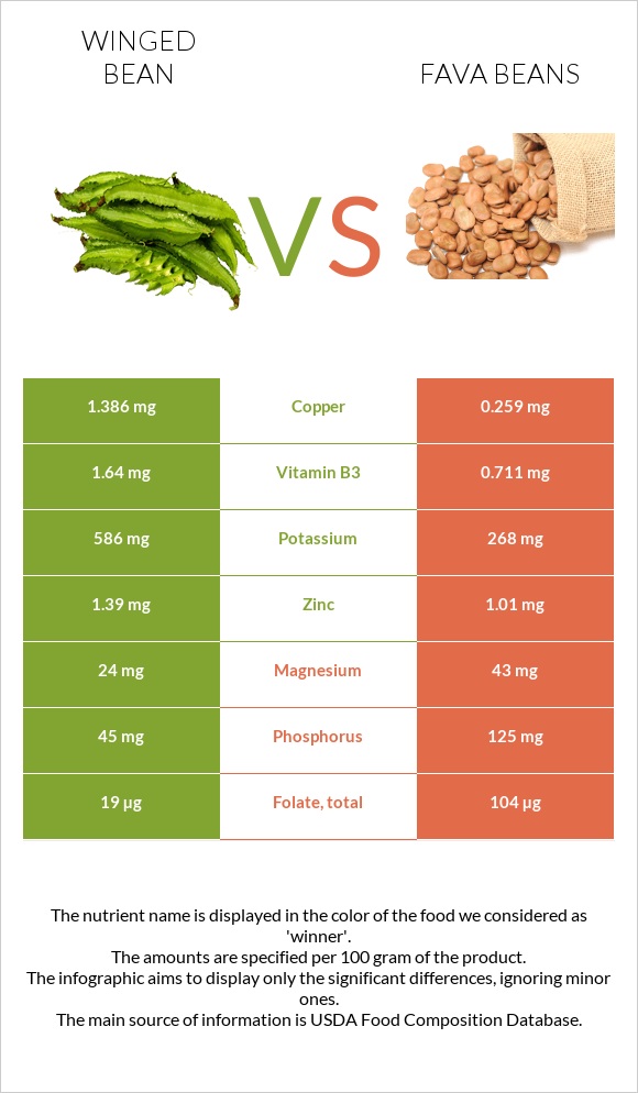 Winged bean vs Fava beans infographic
