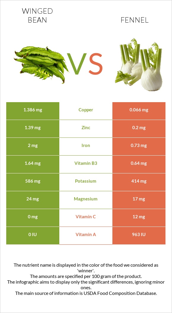 Winged bean vs Fennel infographic