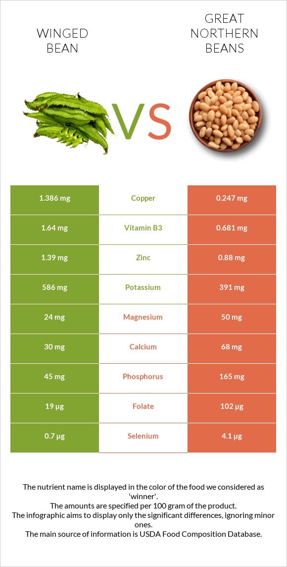 Winged bean vs. Great northern beans — In-Depth Nutrition Comparison