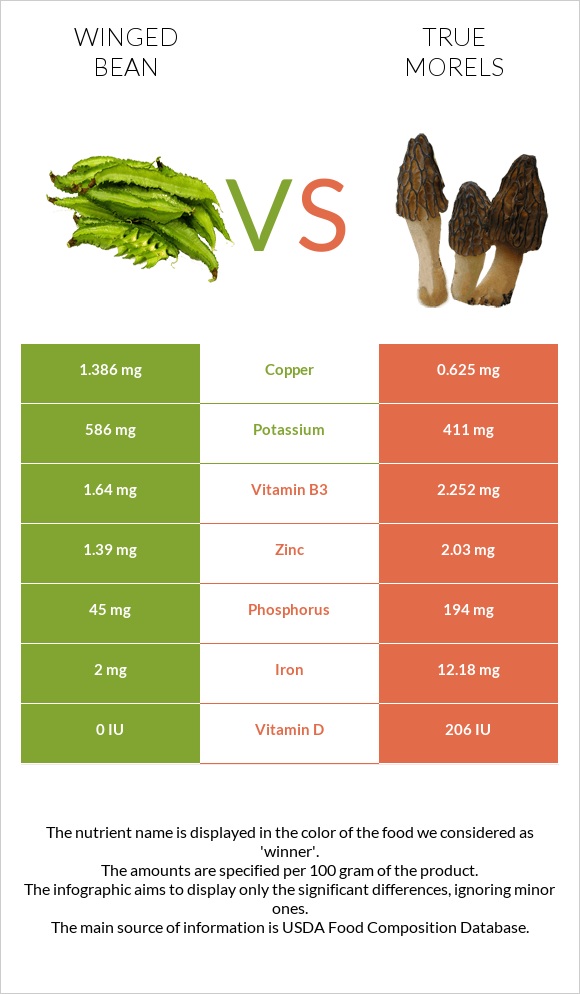 Winged bean vs True morels infographic