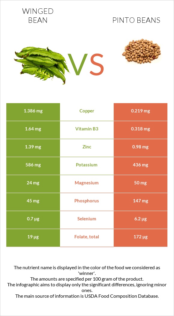 Winged bean vs Pinto beans infographic
