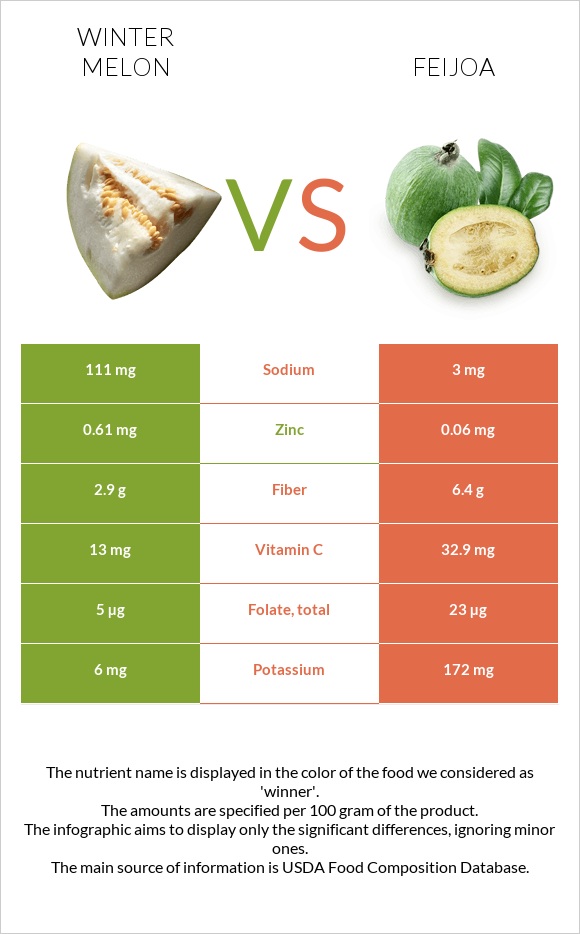 Winter melon vs Feijoa infographic