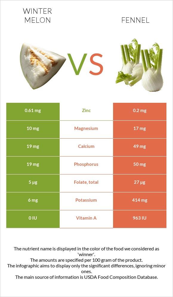 Winter melon vs Fennel infographic