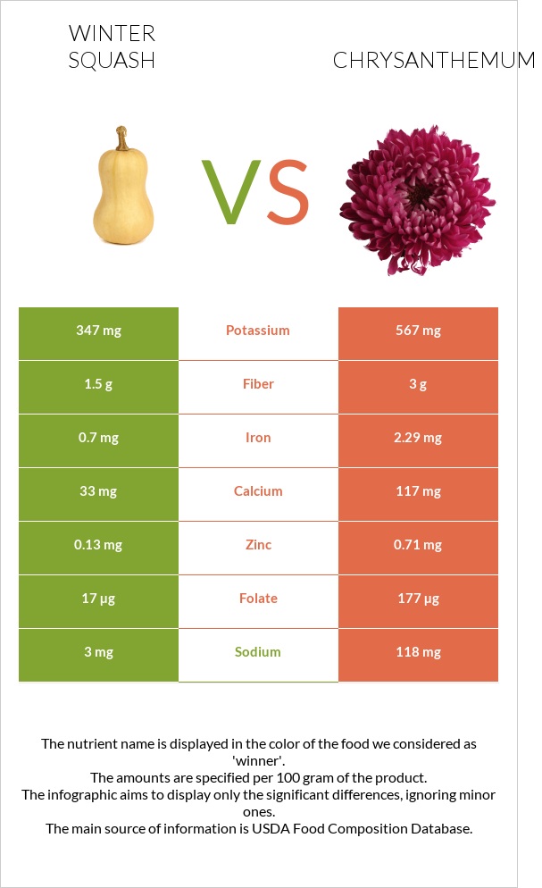 Winter squash vs Chrysanthemum infographic