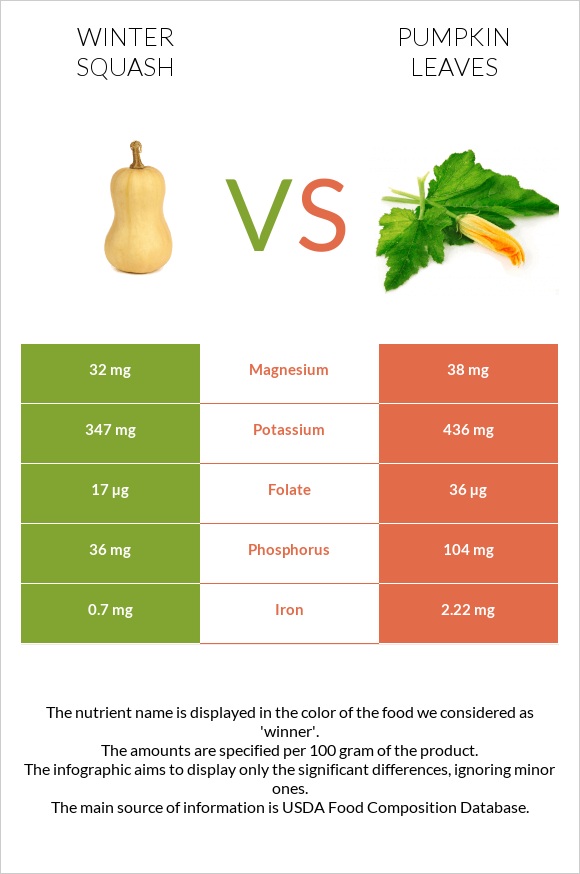 Winter squash vs Pumpkin leaves infographic