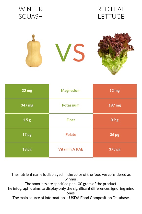 Winter squash vs Red leaf lettuce infographic