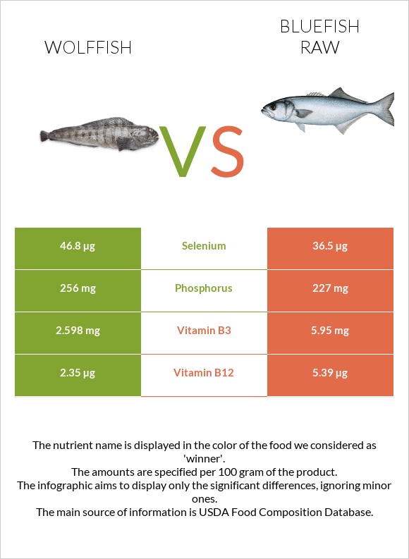 Wolffish vs Bluefish raw infographic