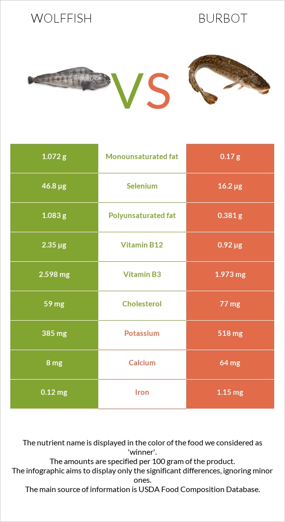 Wolffish vs Burbot infographic