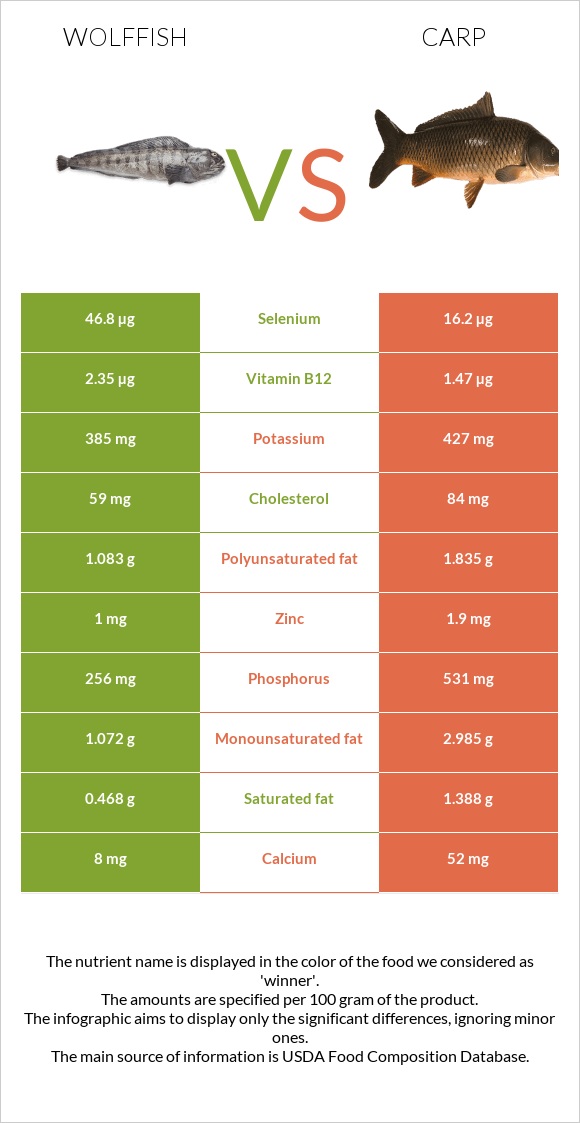 Wolffish vs Carp infographic