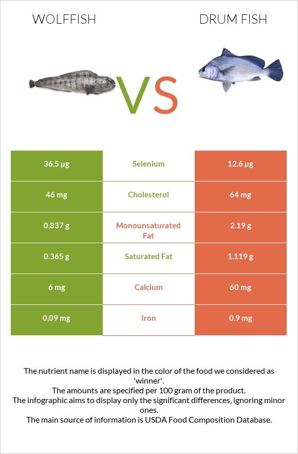 Wolffish vs Drum fish infographic