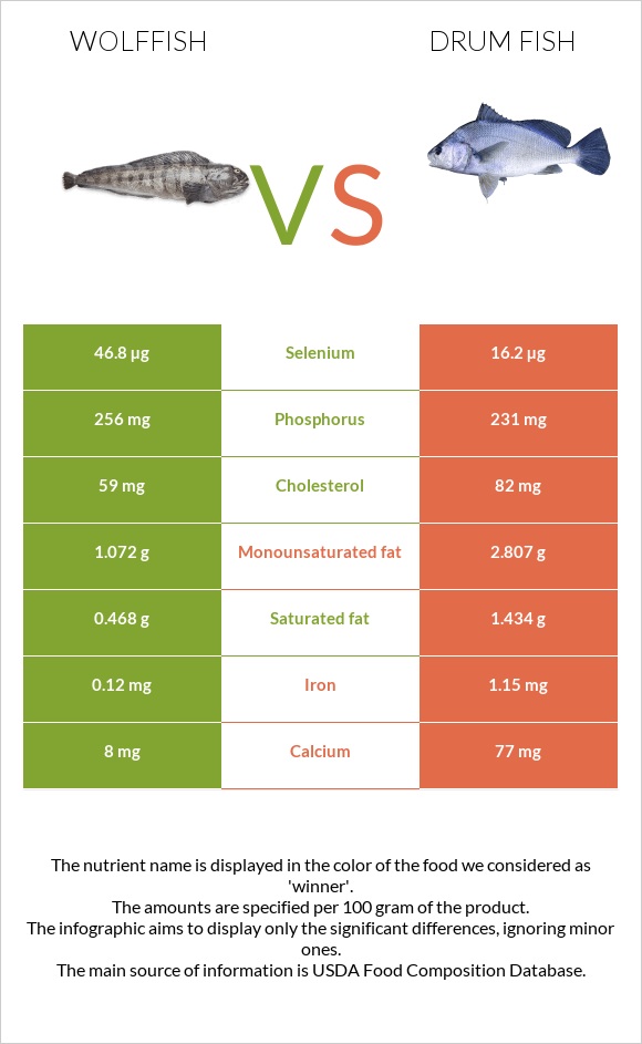 Wolffish vs Drum fish infographic