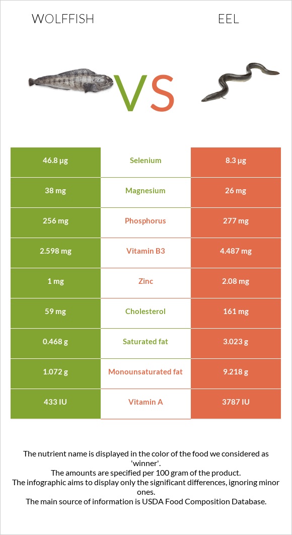 Wolffish vs Eel infographic