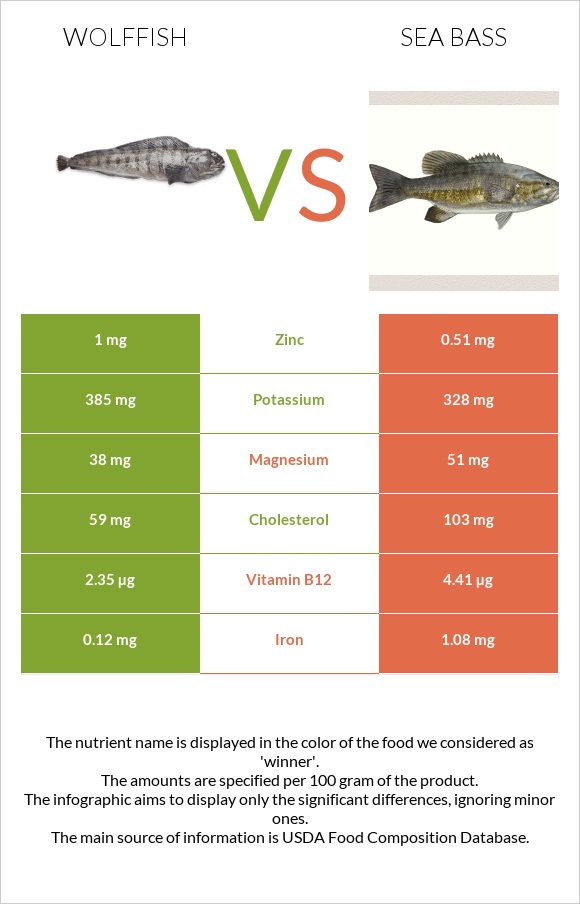 Wolffish vs Sea bass infographic