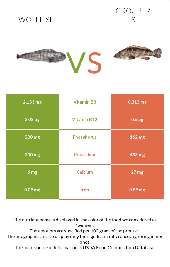 Wolffish vs Grouper fish infographic