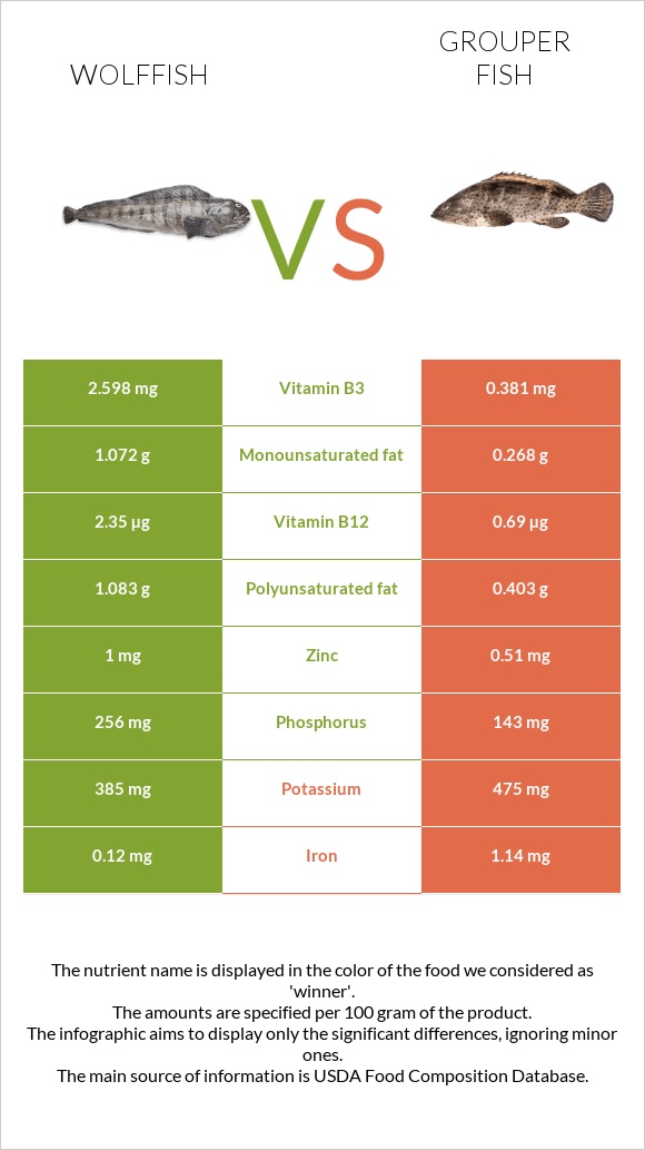 Wolffish vs Grouper fish infographic