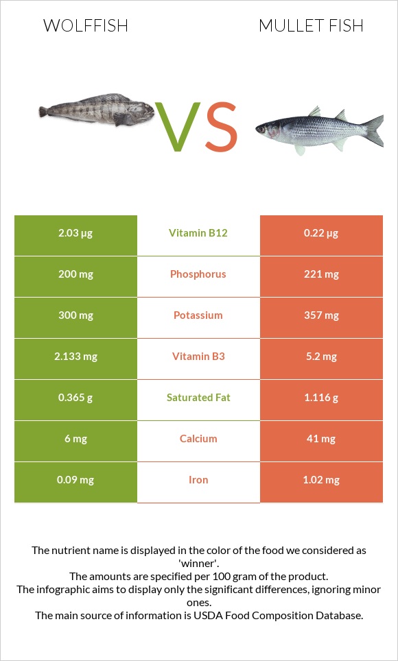 Wolffish vs Mullet fish infographic