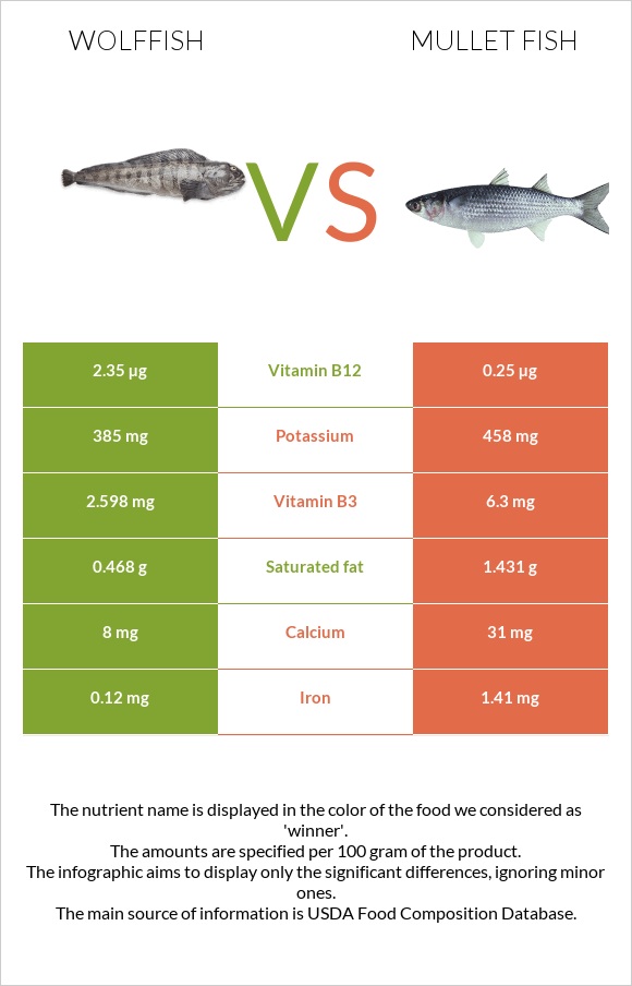 Wolffish vs Mullet fish infographic