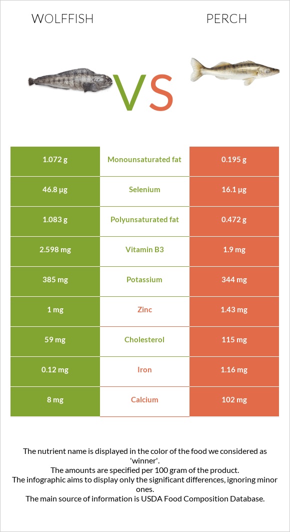 Wolffish vs Perch infographic