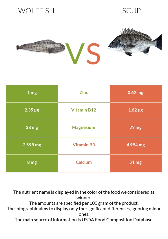 Wolffish vs Scup infographic