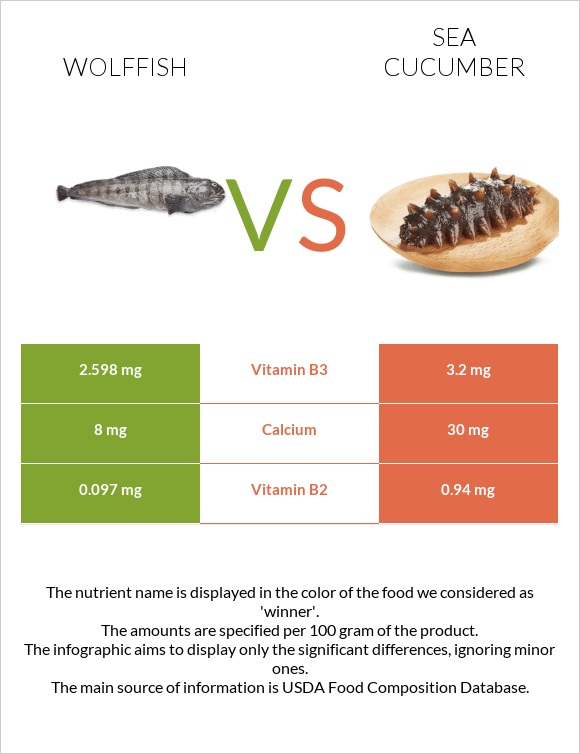 Wolffish vs Sea cucumber infographic